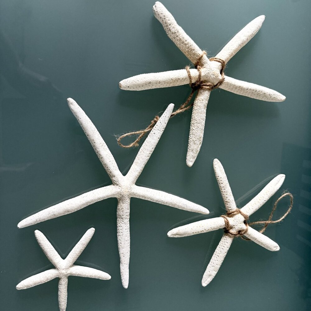 Bohemian Starfish Lot of 4 White Large Ornament Boho Decoration Seashell - Picture 4 of 9